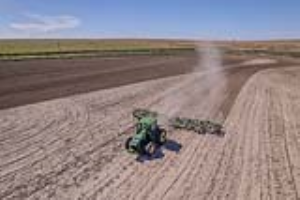 01 Fallow Master Orthman